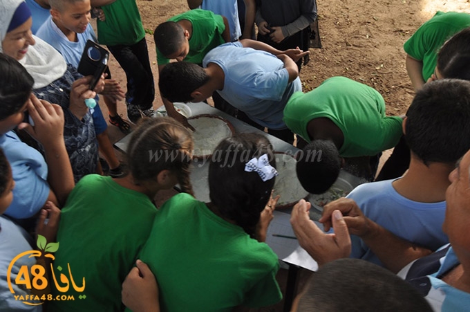 sport day okhowa (11).JPG